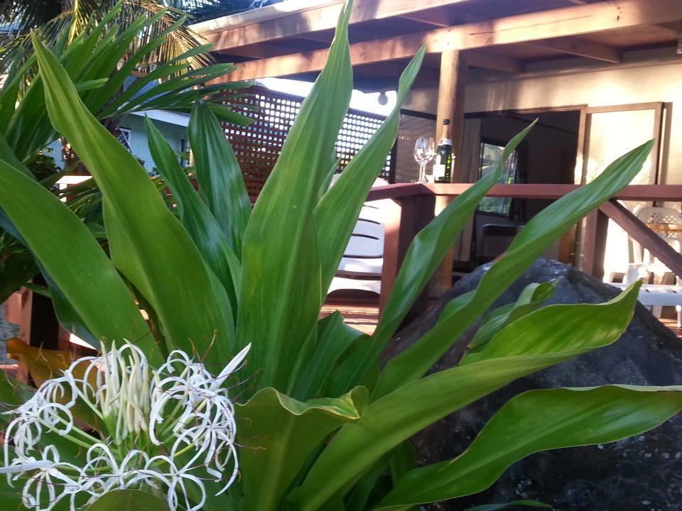 Sunset Palms Rarotonga Hotel Exterior photo
